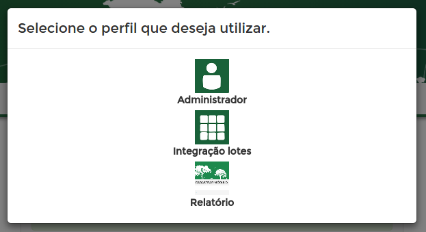 modal perfil